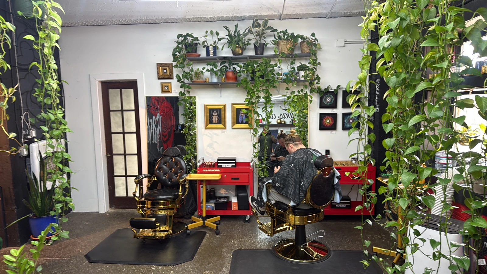 Savage Hair Studios in Asheville, NC